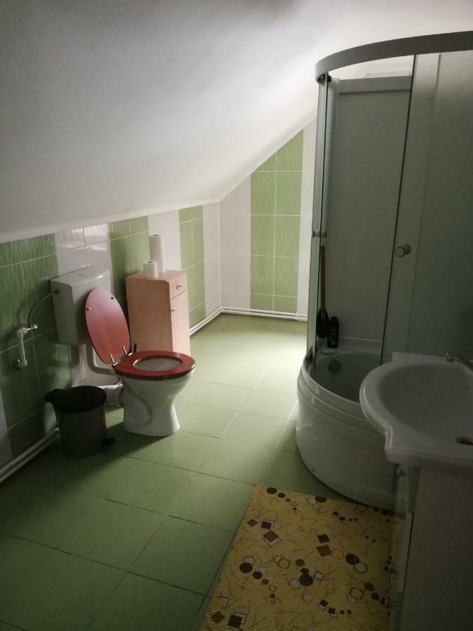 Pension, Camping & Biker Station Zur Deutschen Eiche Ciocanesti 外观 照片