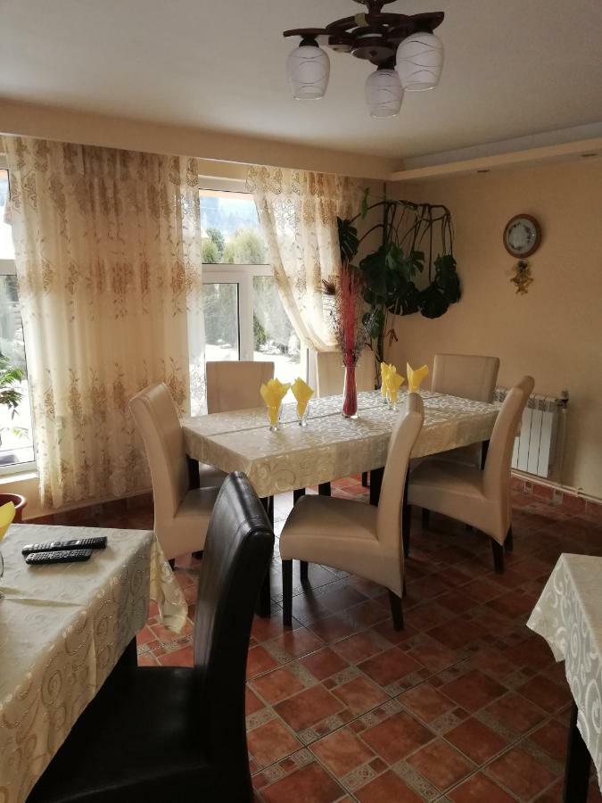 Pension, Camping & Biker Station Zur Deutschen Eiche Ciocanesti 外观 照片